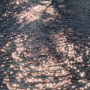 精品无人区麻豆乱码无限制
