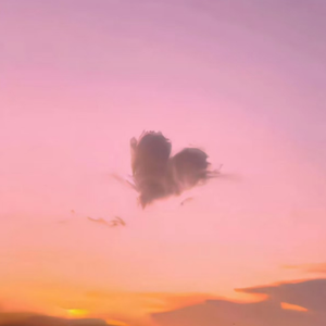 精品无人区麻豆乱码无限制
